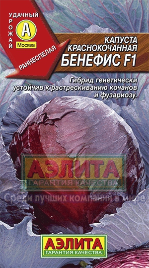 кап.Мидор F1 б/к,Крупные кочаны, до 5 кг, для хранения и квашения (Аэлита) Ц