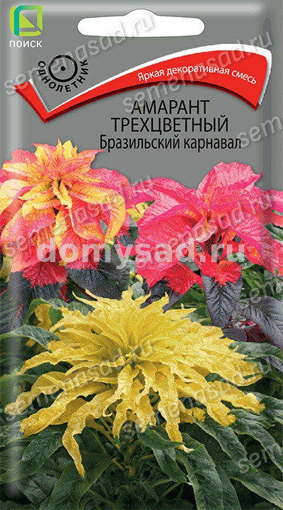 Амарант Бразильский карнавал, трехцветный (Поиск) Ц