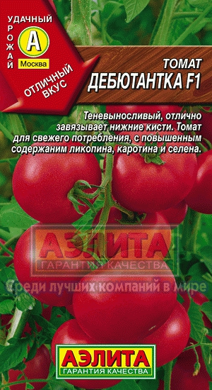 т.Дебютантка (Аэлита) Ц