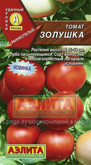 т.Золушка (Аэлита) Ц