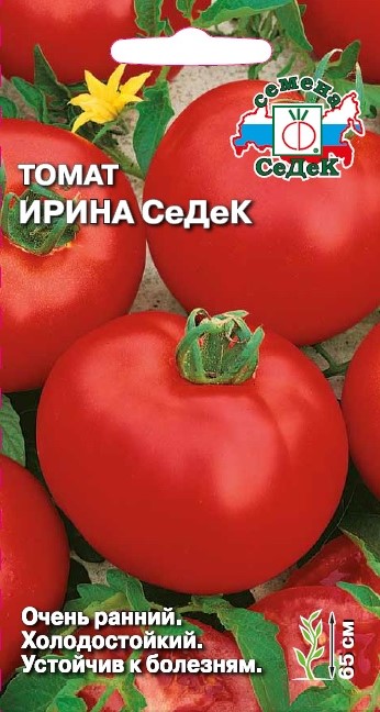 т.Ирина Седек (Седек) Ц