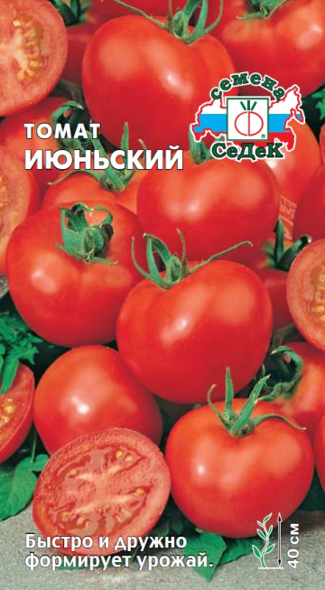 т.Июньский 0,2, 9423 (Седек) Ц