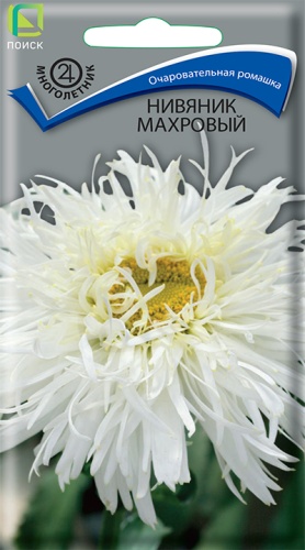 Нивяник махровый (Поиск) Ц