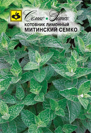 Котовник Митинский (Семко) Ц