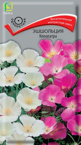 Эшшольция Клеопатра (Поиск) Ц