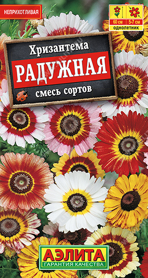 Хризантема Радужная, смесь сортов (Аэлита) Ц