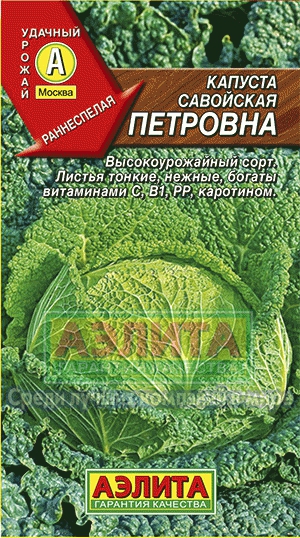 кап.Савойская Петровна.Превосходная начинка д/пирогов,рогаликов. (Аэлита) Ц