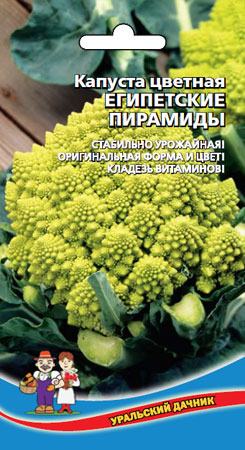 кап.цв.Египетские Пирамиды.Оригинальная форма,кладез здоровья! (Уральский дачник) Ц