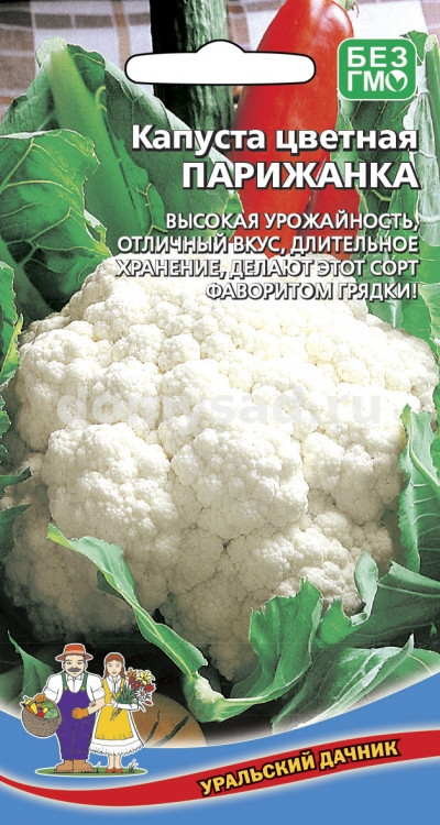 кап.цв.Парижанка Головка плотная, СНЕЖНО-БЕЛАЯ, крупная (Уральский Дачник) Ц