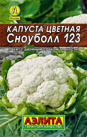 кап.цв.Сноуболл 123 (Аэлита) ЛИДЕР