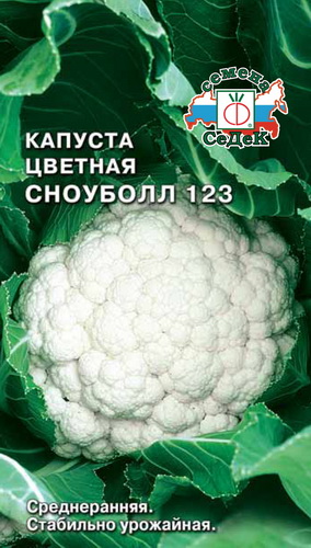 кап.цв.Сноуболл 123 (Седек) Ц