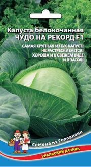 кап.Чудо на Рекорд. Самая крупная из б/к, универсальная! банка (Уральский Дачник) Ц