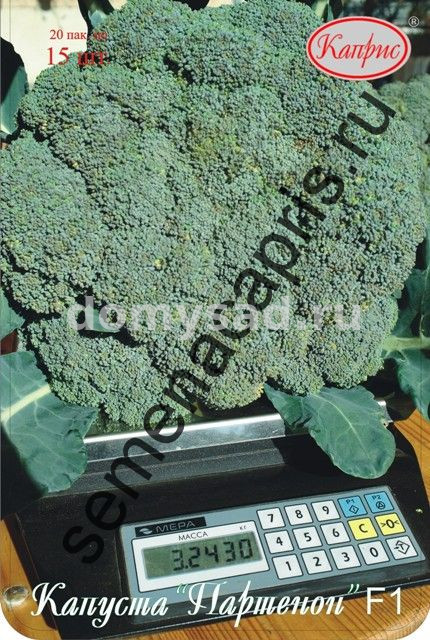 Капуста Брокколи Партенон F1 (Франция) НАБОР 20 ПАЧЕК (Каприс)