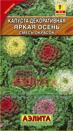 Капуста Декоративная Яркая осень, смесь (Аэлита) Ц