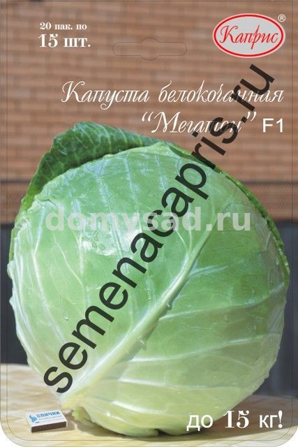 Капуста Мегатон F1 (Нидерланды) НАБОР 20 ПАЧЕК (Каприс)
