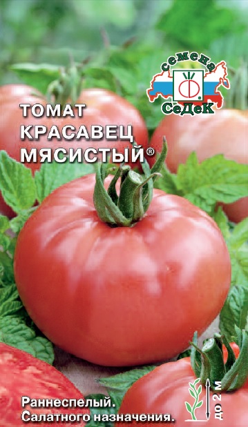 т.Красавец мясистый (Седек) Ц