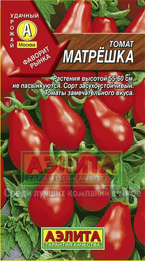 т.Матрешка (Аэлита) Ц