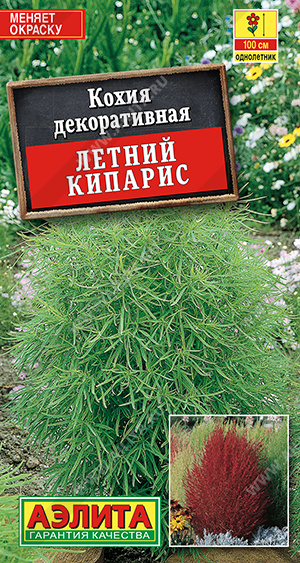 Кохия Летний кипарис (Аэлита) Ц