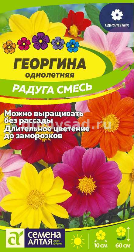 Георгина Радуга смесь (Семена Алтая) Ц