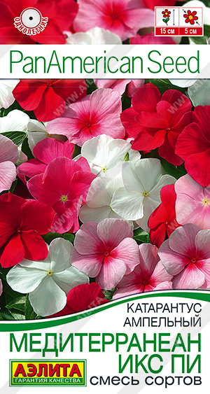 Катарантус ампельный Медитерранеан, смесь окрасок (Аэлита) Ц