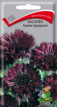 Катарантус Пацифика ХР Априкот 5шт. (Гавриш) Ц