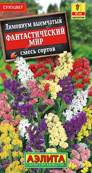 Кермек (лимониум) Фантастический мир,смесь окрасок (Аэлита) Ц