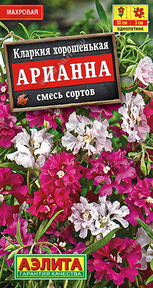 Кларкия Арианна смесь окрасок (Аэлита)Ц