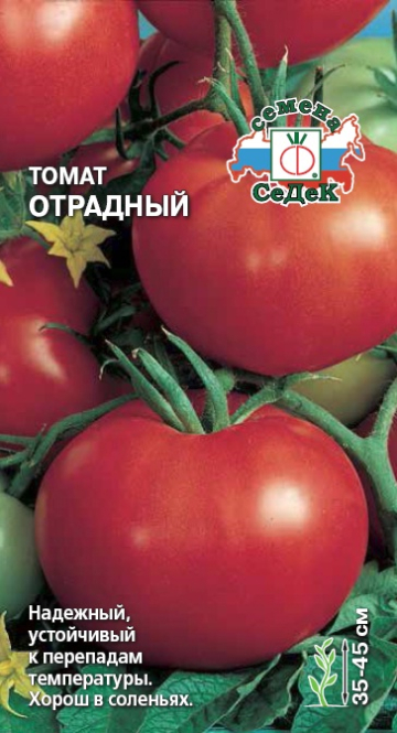 т.Отрадный 0,1гр. (Седек) Ц