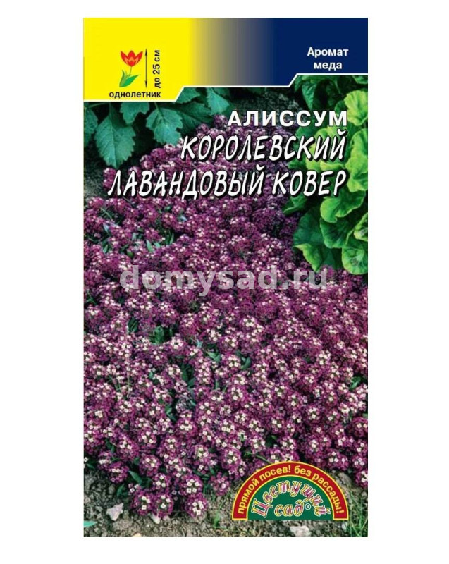 Алиссум Королевский Лавандовый ковер (Цветущий Сад) Ц