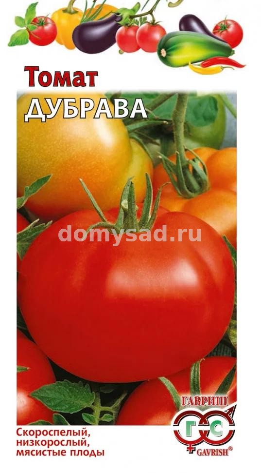 т.Дубрава (Гавриш) Ц