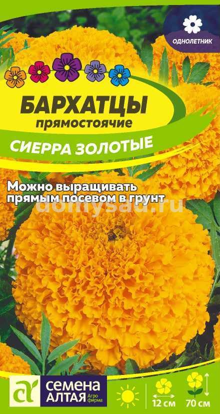 Бархатцы Сиерра Золотые (Семена Алтая) Ц