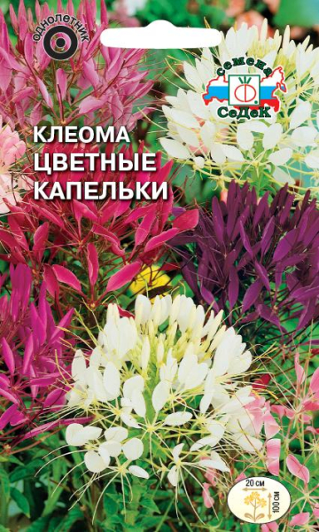 Клеома Цветные Капельки смесь цветов (Седек) Ц