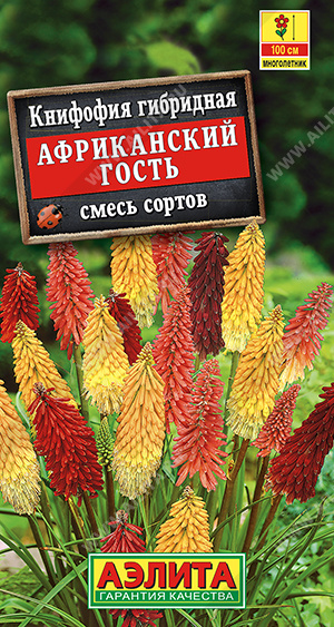 Книфофия Африканский гость, смесь окрасок (Аэлита) Ц