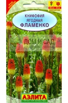 Книфофия ягодная Фламенко (Аэлита) Ц