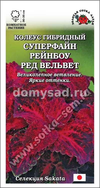 Колеус Суперфайн Рейнбоу Ред Вельвет 10шт. (Золотая Сотка) Ц