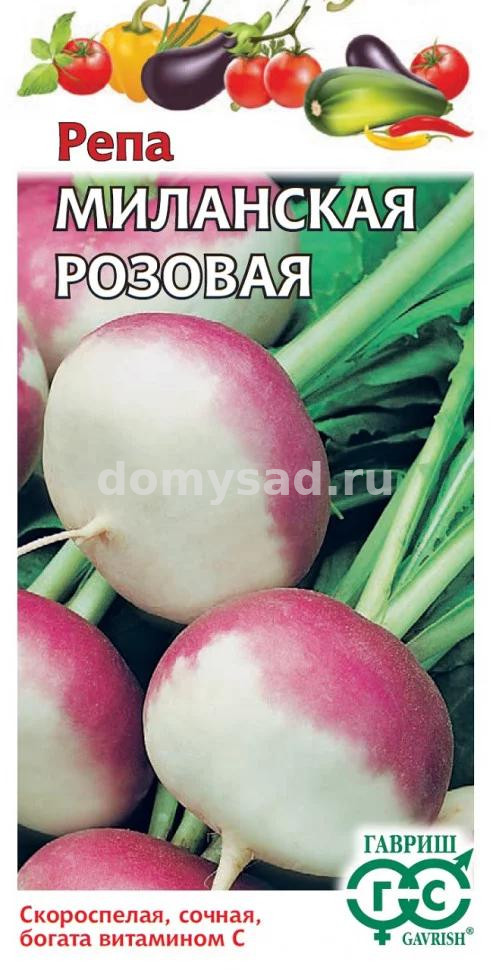 Репа Миланская розовая (Гавриш) Ц