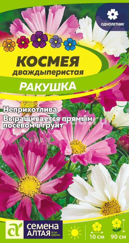 Космея Ракушка(Семена Алтая) Ц