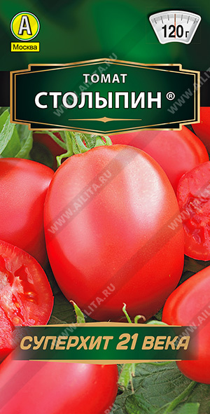 т.Столыпин (Аэлита) Ц