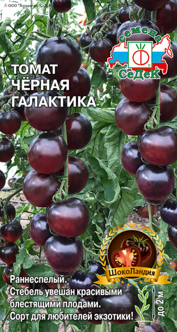 т.Черная Галактика 0,1гр. для закрытого грунта (Cедек) Ц