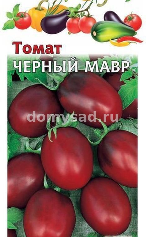 т.Черный Мавр (Гавриш) Ц