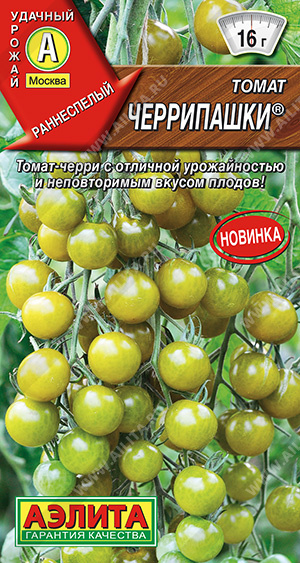 т.Черрипашки (Аэлита) Ц