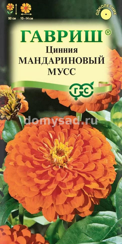 Цинния Мандариновый мусс (Гавриш) Ц