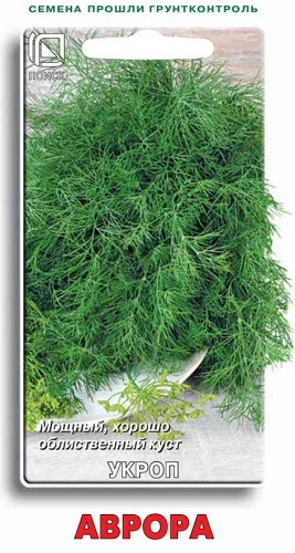 Укроп Аврора (Поиск) Ц