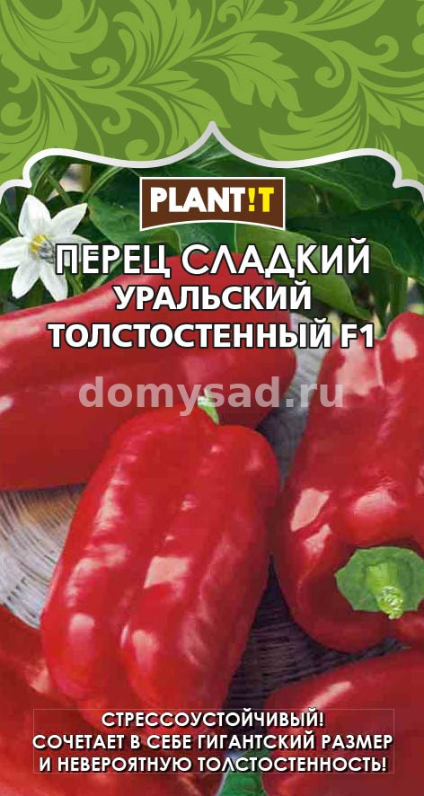 пер.Уральский толстостенный (PLANT!T) Ц