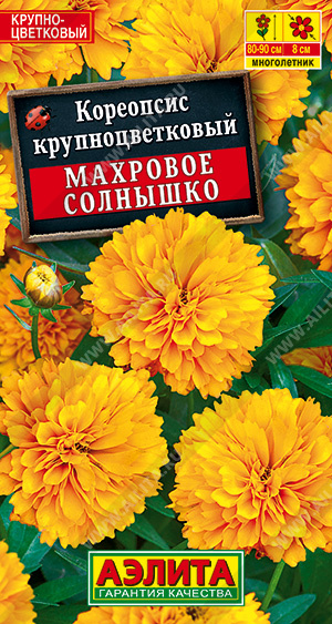 Кореопсис Махровое солнышко (Аэлита) Ц