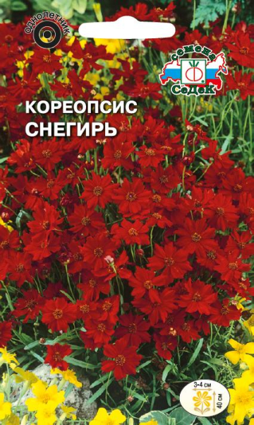 Кореопсис Снегирь красильный темно-красный (Седек) Ц