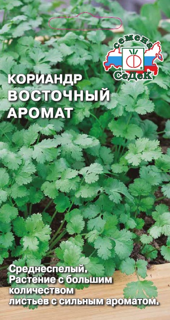 Кориандр Восточный Аромат (Седек) Ц