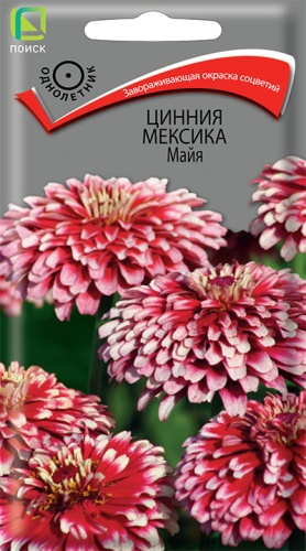 Цинния Мексика Майя (Поиск) Ц