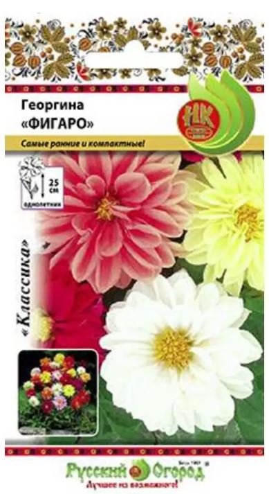 Георгина Фигаро 0,2 г.смесь (НК) Ц