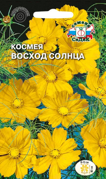 Космея Восход Солнца (Седек) Ц